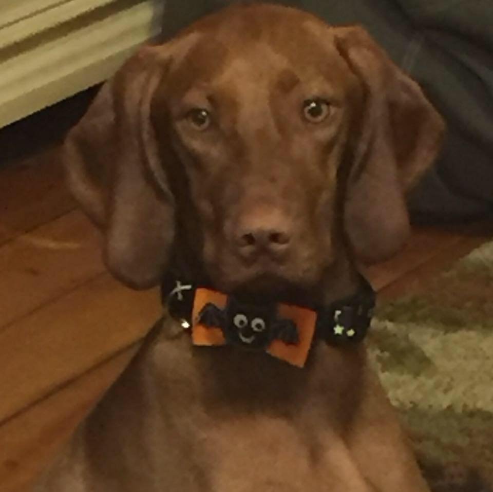 Julie S.'s profile image