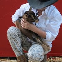 Deborah O.'s profile image