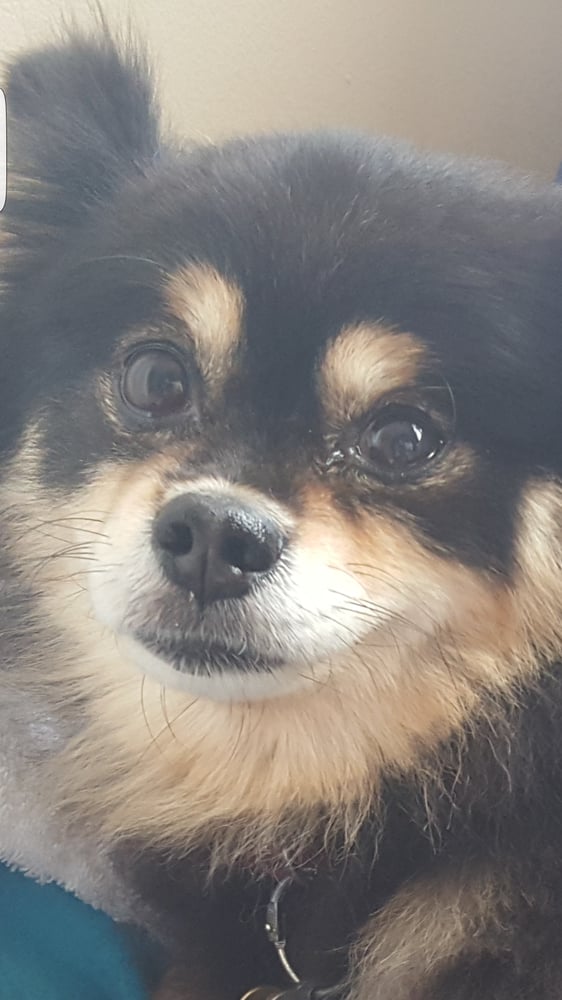 Jay S.'s profile image