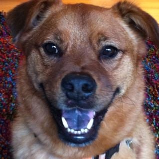 Mike G.'s profile image