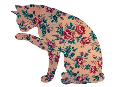 Alyssa P.'s profile image