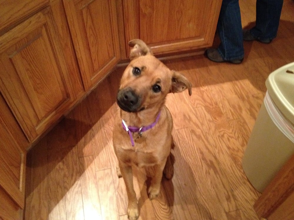 J N.'s profile image