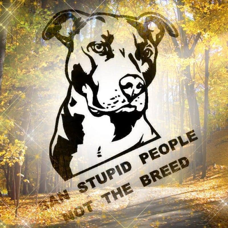 John G.'s profile image