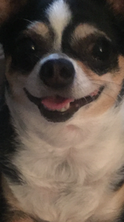 Amy B.'s profile image