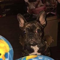 Ashlyn H.'s profile image