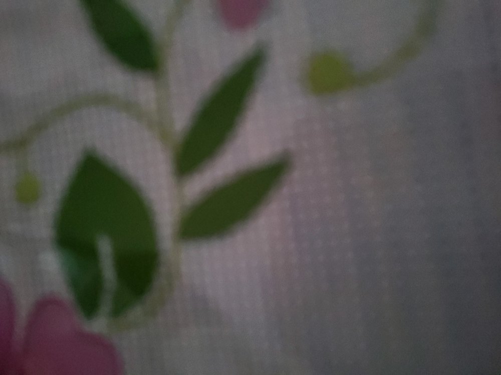 Riff L.'s profile image
