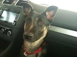 N L.'s profile image