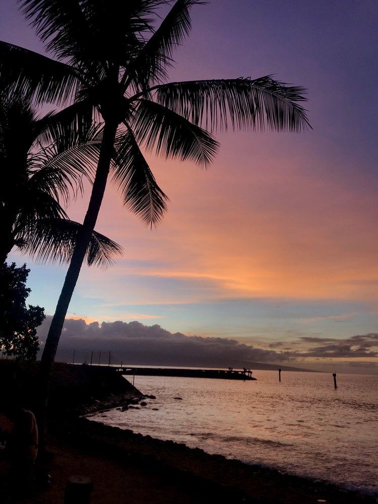 OneBiteAtATime B.'s profile image