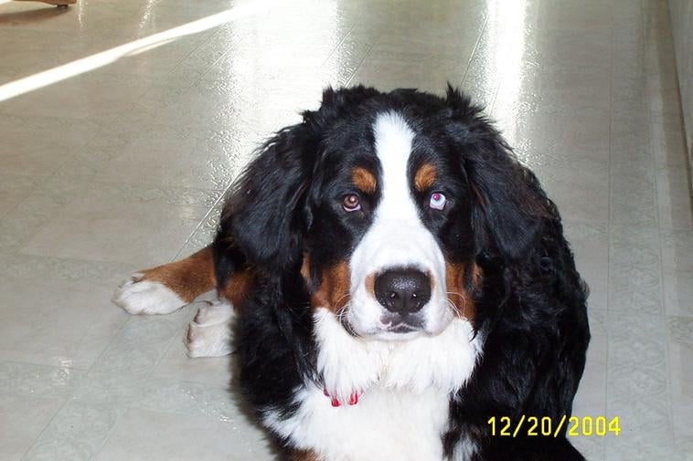 Kat C.'s profile image