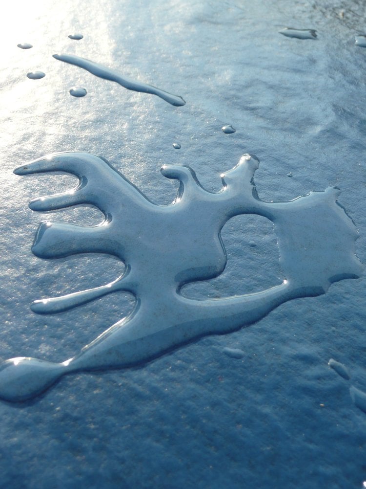 Luci F.'s profile image