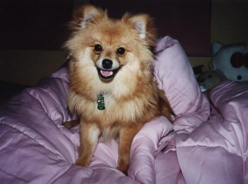 Mary K.'s profile image