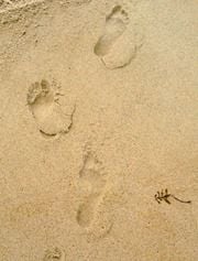 Keely G.'s profile image