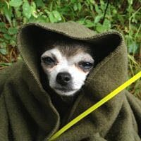 Sarah A.'s profile image