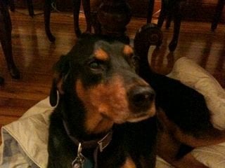 Jennifer B.'s profile image