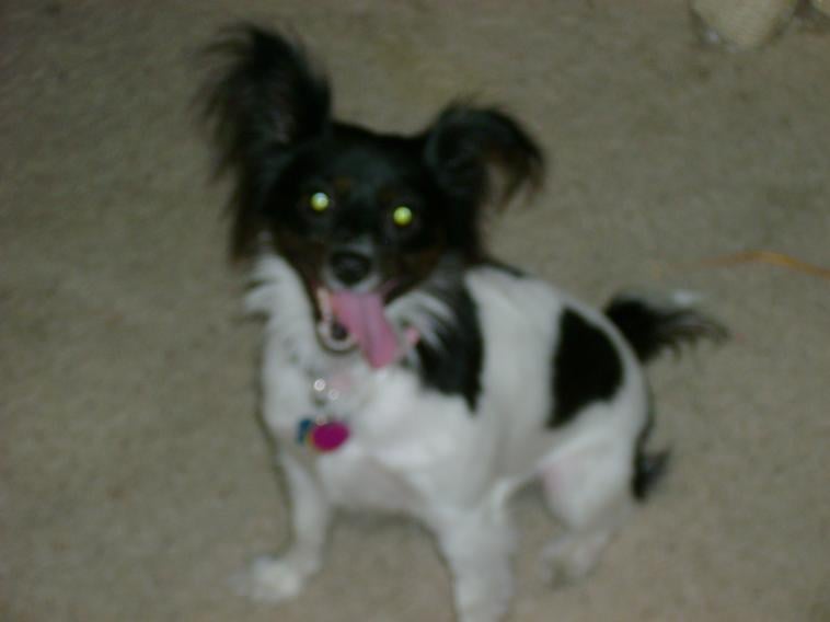 kathleen w.'s profile image