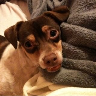 Rae W.'s profile image