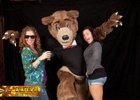 Stacy L.'s profile image
