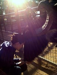Rachel Y.'s profile image