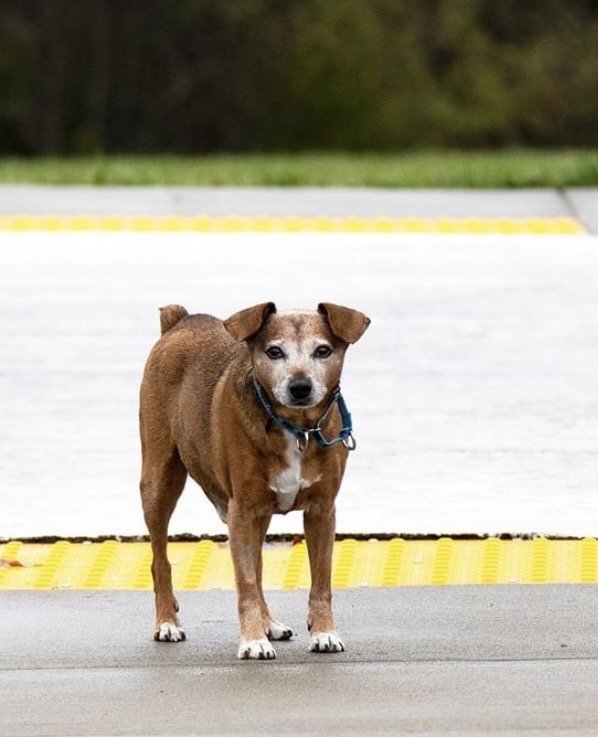 Mikel G.'s profile image