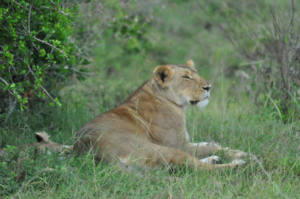 MJ F.'s profile image