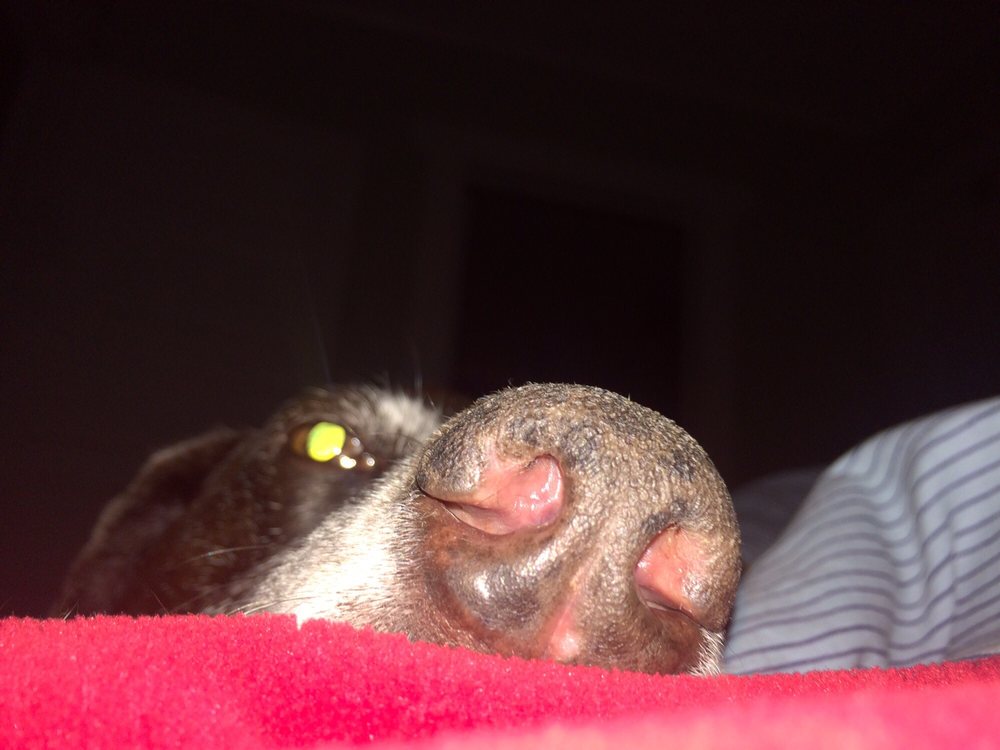 Erika W.'s profile image