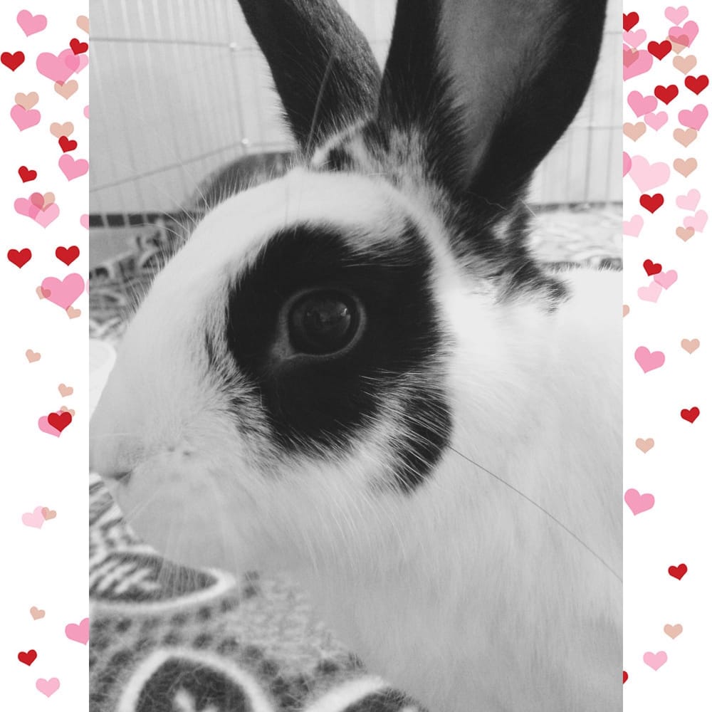 Sydney D.'s profile image