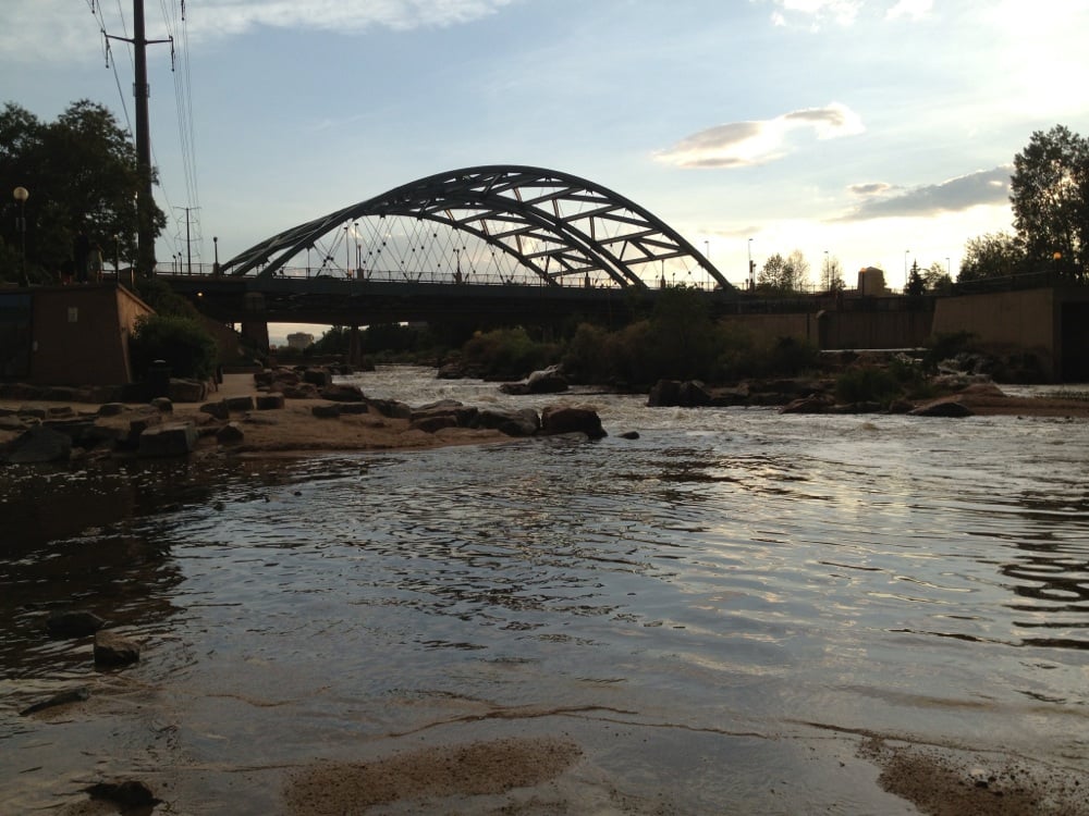 Cari L.'s profile image