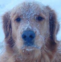 Debbie M.'s profile image