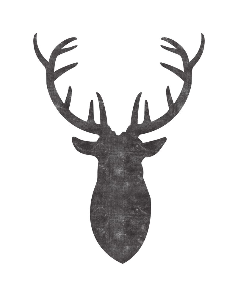 Porter T.'s profile image