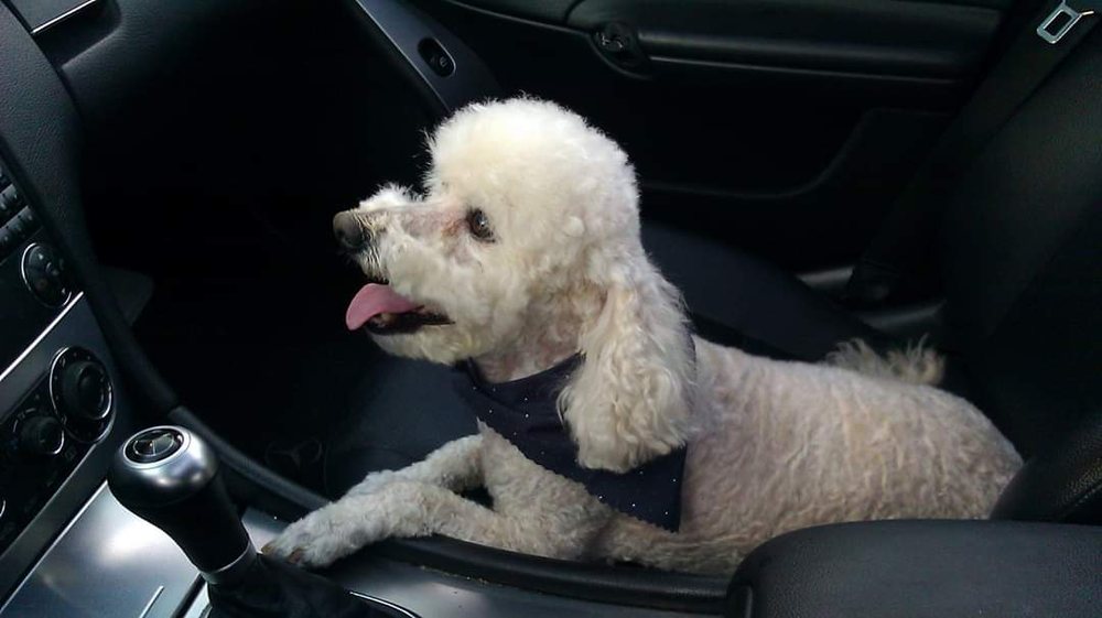 Maria K.'s profile image