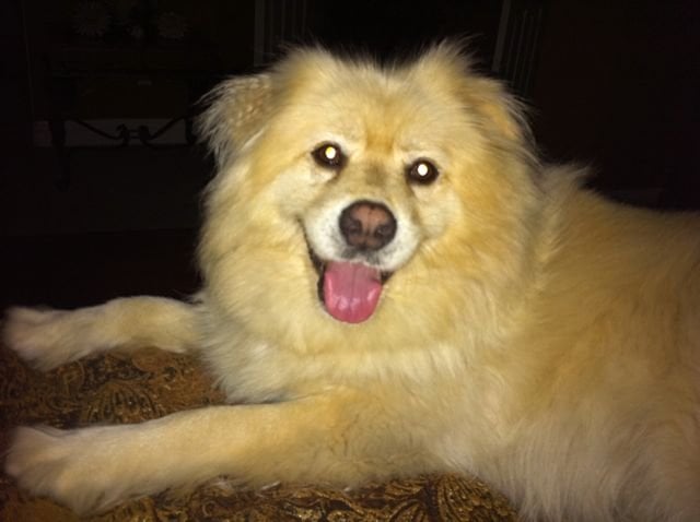 Carol O.'s profile image