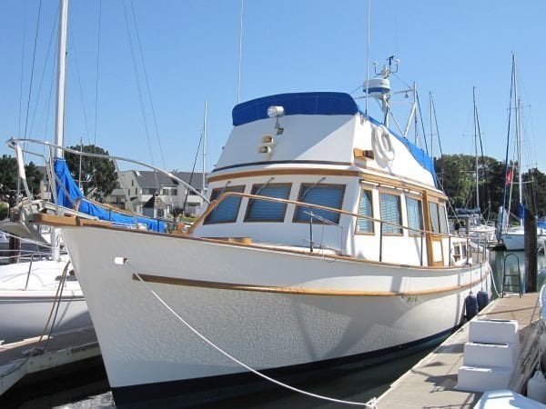 David D.'s profile image