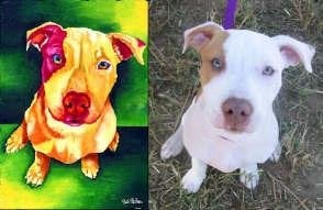 Terra A.'s profile image