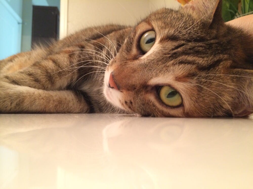 Kristal C.'s profile image