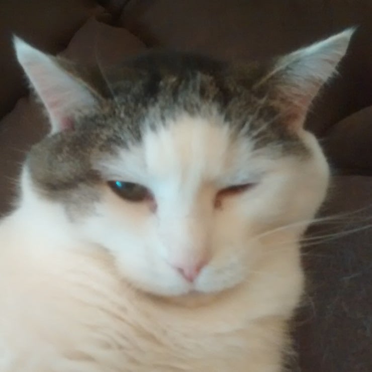Chris C.'s profile image