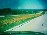 Mindy M.'s profile image