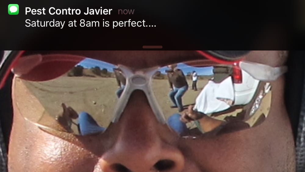David L.'s profile image