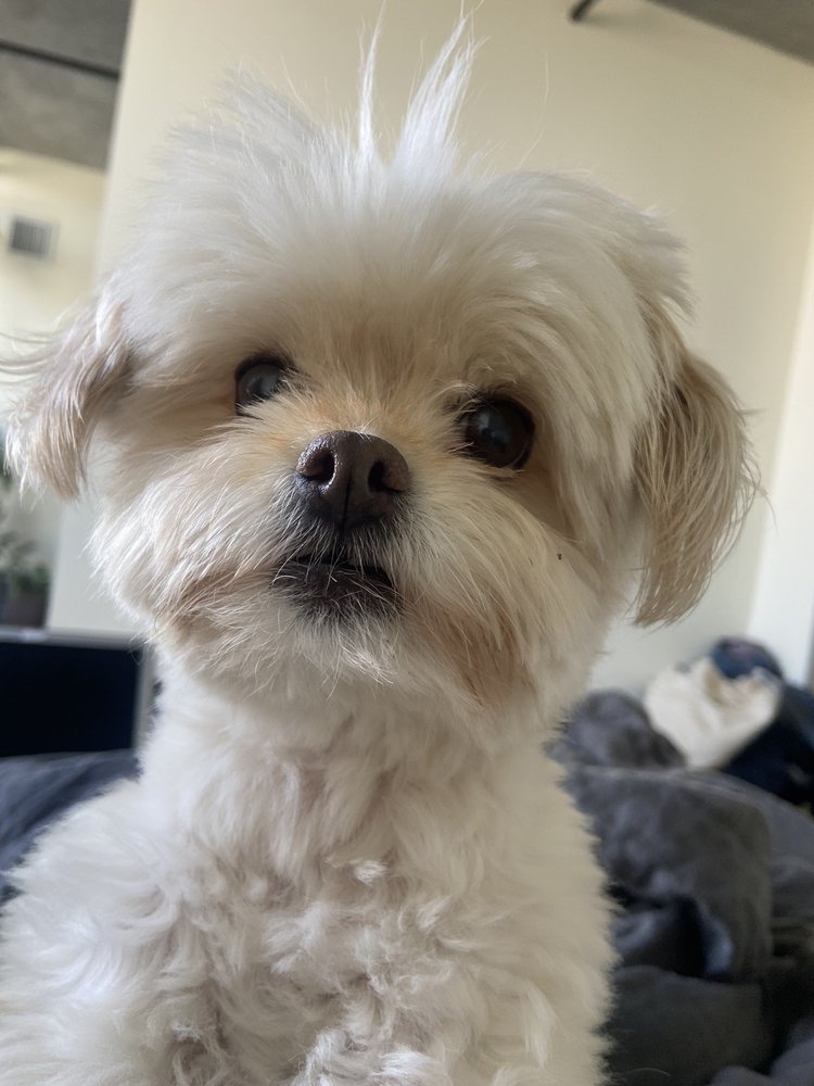 Alexis F.'s profile image