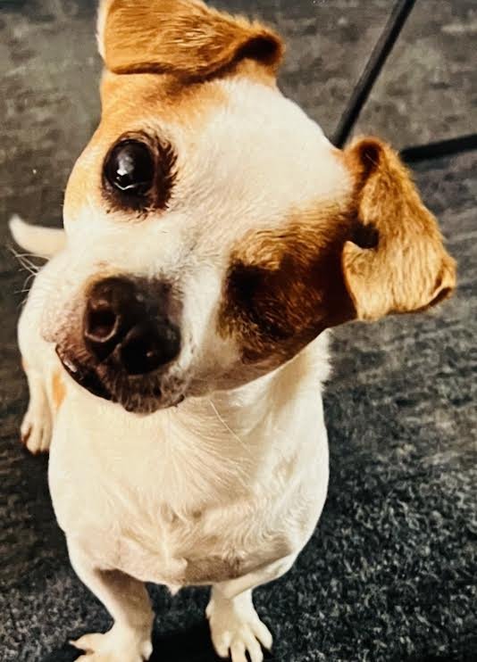 Jeff S.'s profile image