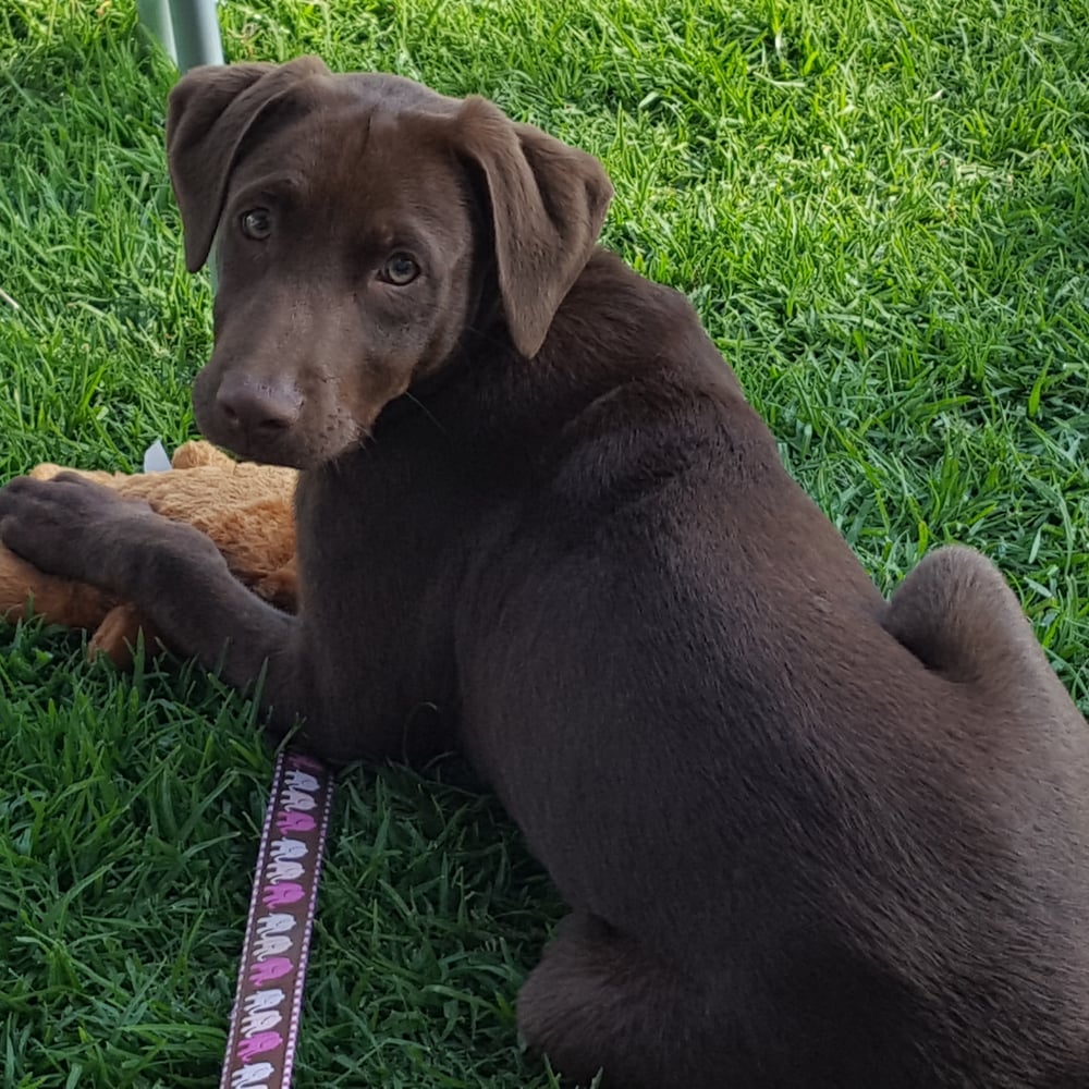 Jodi C.'s profile image