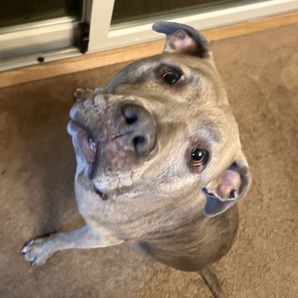 Mark R.'s profile image