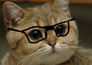 Jake H.'s profile image