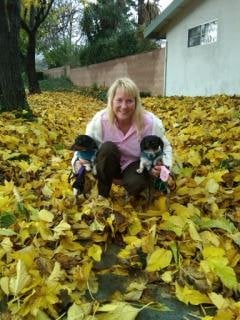 Su D.'s profile image