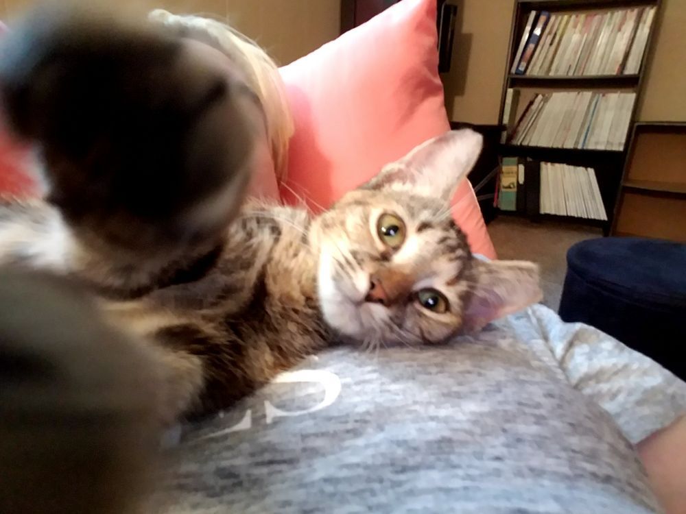 Emme P.'s profile image