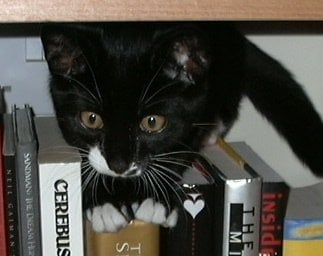 Ian C.'s profile image