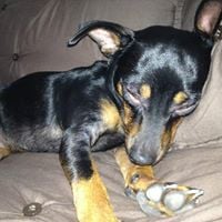 Julie C.'s profile image