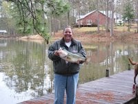 Donna T.'s profile image