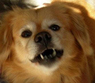 Lynn B.'s profile image