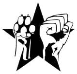 Carrie R.'s profile image