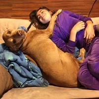 David A.'s profile image